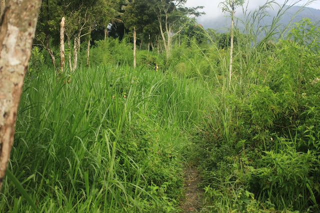 Hiking Gn. Salak Mepo Basecamp Cimelati